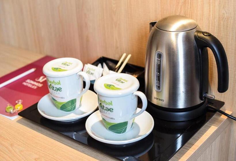 Номер Стандарт с Террасой, Sommos Hotel Benasque Spa