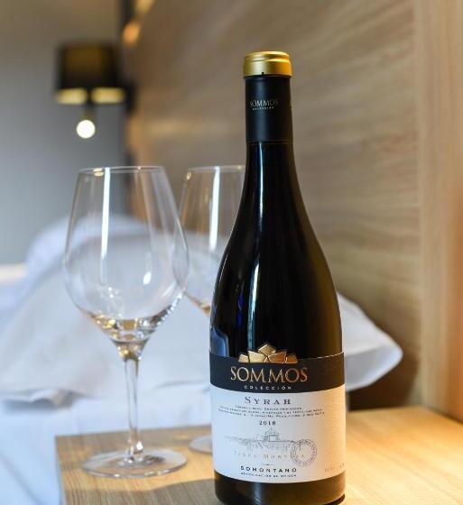 Номер Стандарт с Балконом, Sommos Hotel Benasque Spa