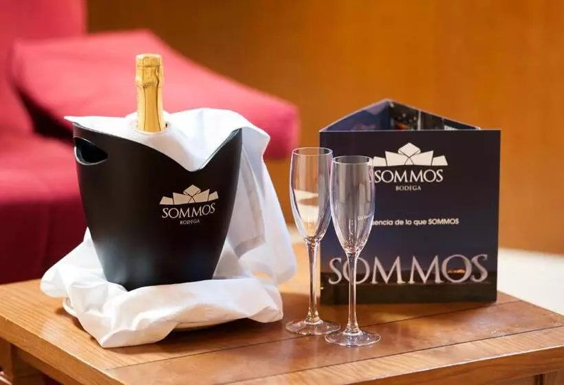 Sviitti, Sommos Hotel Benasque Spa