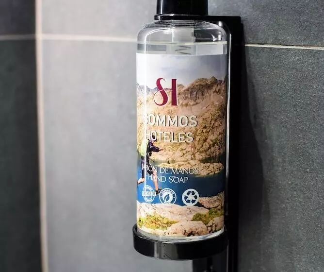 Standard-huone Terassi, Sommos Hotel Benasque Spa