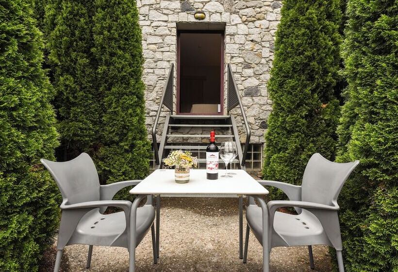 Номер Стандарт с Террасой, Sommos Hotel Benasque Spa