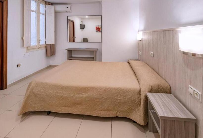 اتاق اکونومی, Niza