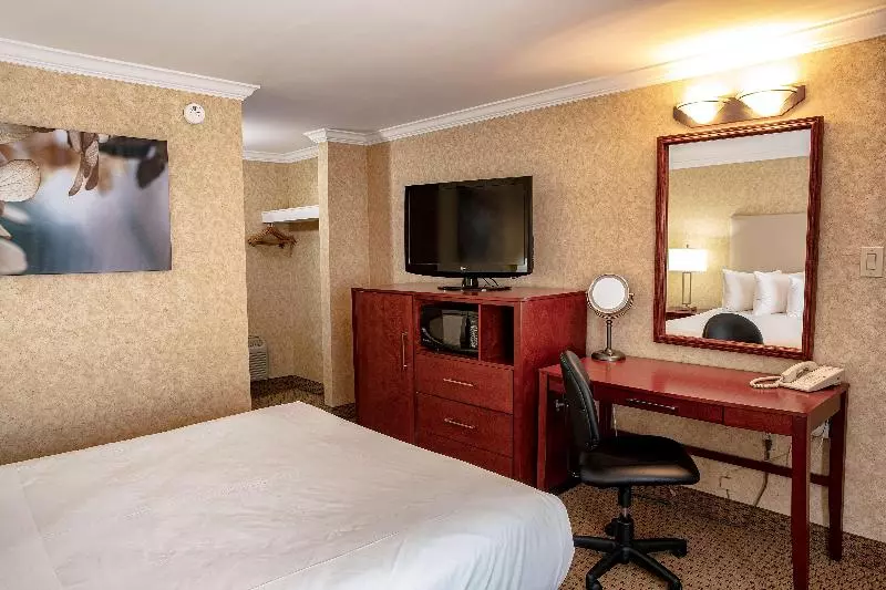 Chambre Supérieure, Pirineos