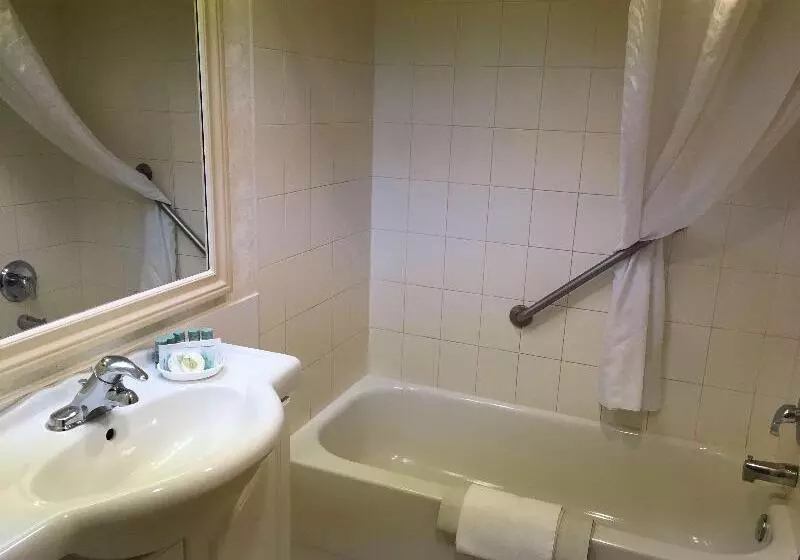 Chambre Supérieure, Pirineos