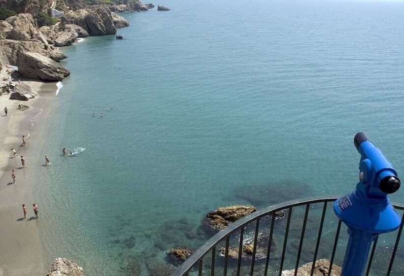 غرفة قياسية فردية, Plaza Cavana