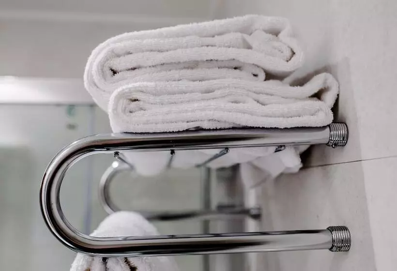 Chambre Standard, Alvi