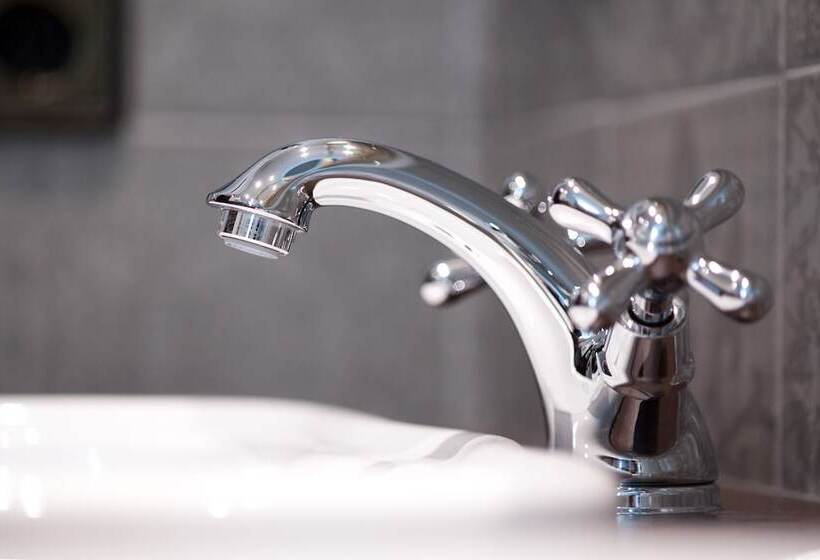 スタンダードトリプルルーム, Diana