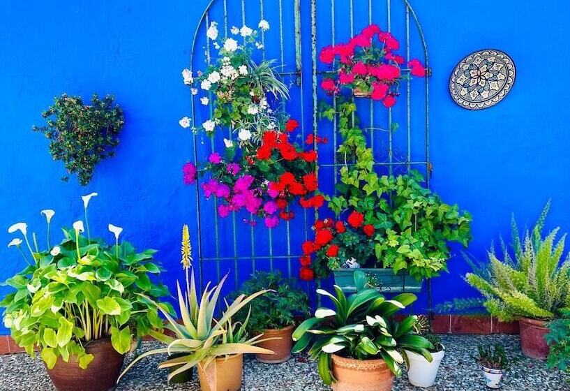 标准间, Hostal El Faro