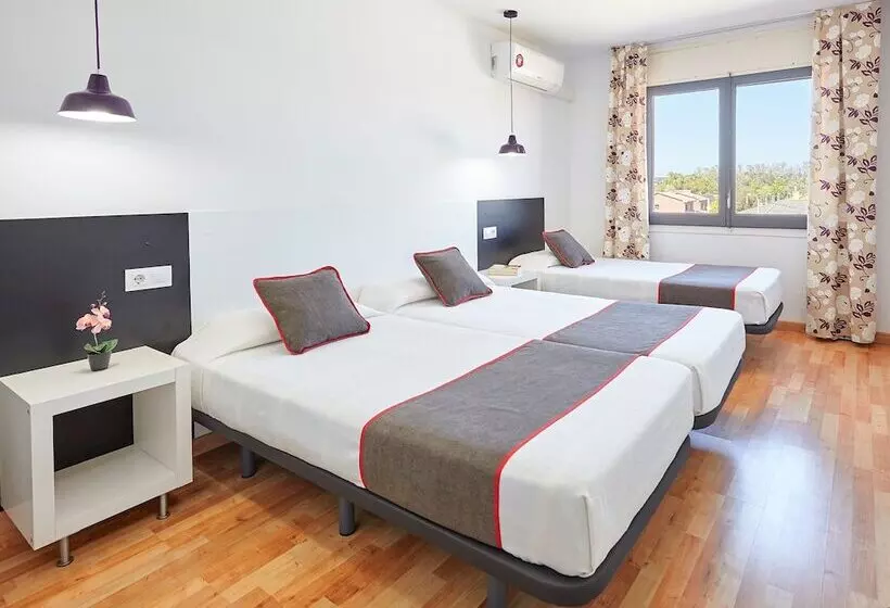 Standaard Driepersoonskamer, Hostal Mas Ferrer