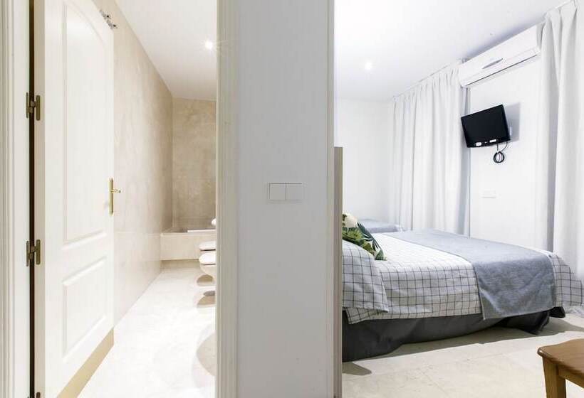 اتاق استاندارد, Hostal Castilla Ii Puerta Del Sol