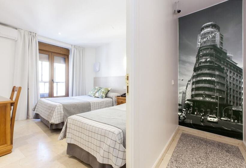 اتاق استاندارد, Hostal Castilla Ii Puerta Del Sol