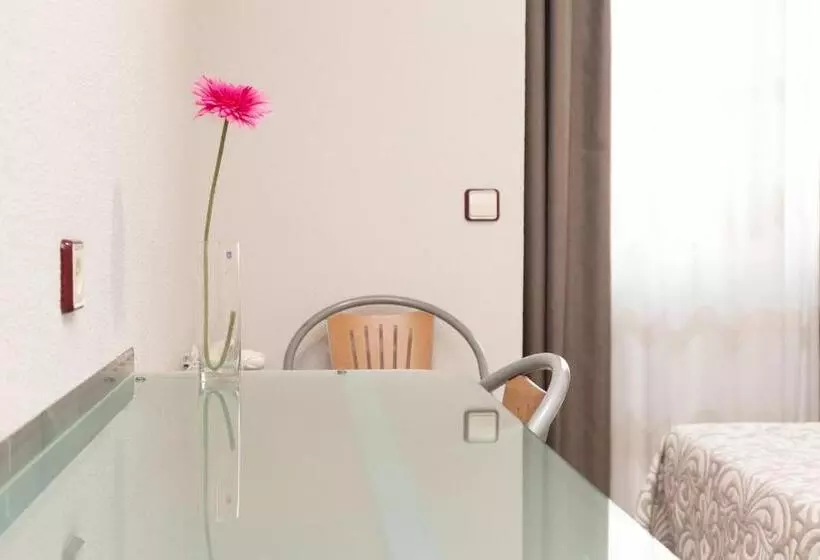 Standart Tek Kişilik Oda, Hostal Viky