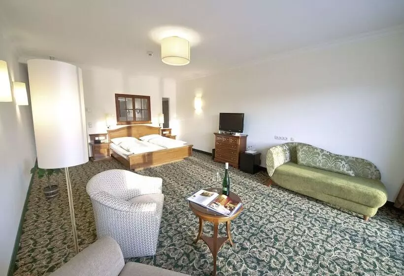 اتاق سوپریور, Gartenhotel & Weingut Pfeffel Dürnstein