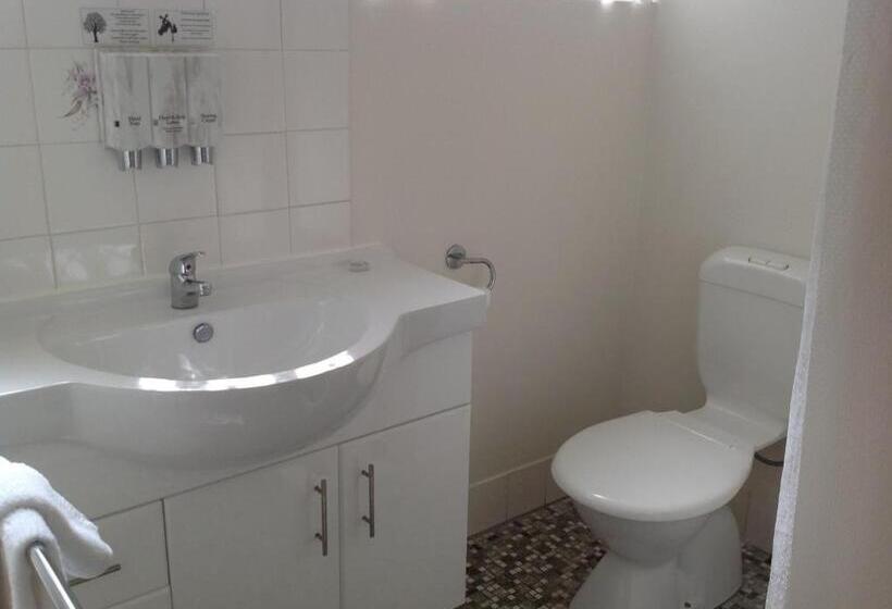 חדר סטנדרט יחיד מיטת קווין, Aspley Motor Inn