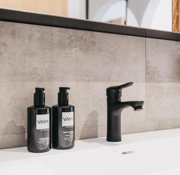 스탠다드 싱글 룸, Vaya Nauders