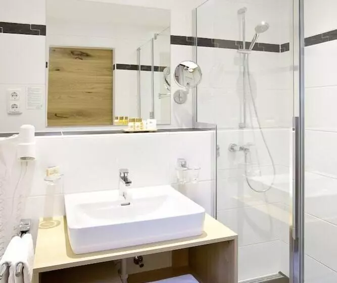 Standard Single Room, Zum Ritter