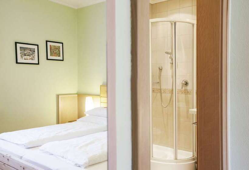 Номер Комфорт Индивидуальный, Parkhotel Matrei