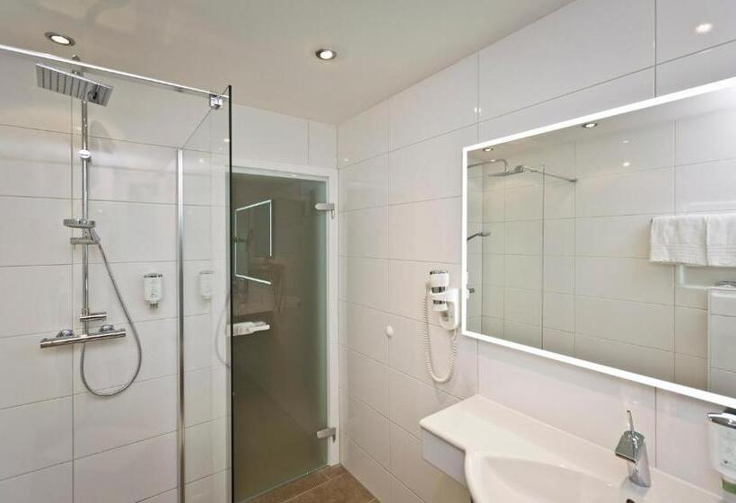 豪华房间, Stadthotel Goldenes Schiff