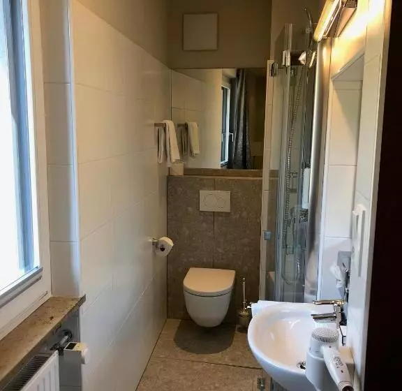 エコノミーシングルルーム, Stadthotel Goldenes Schiff