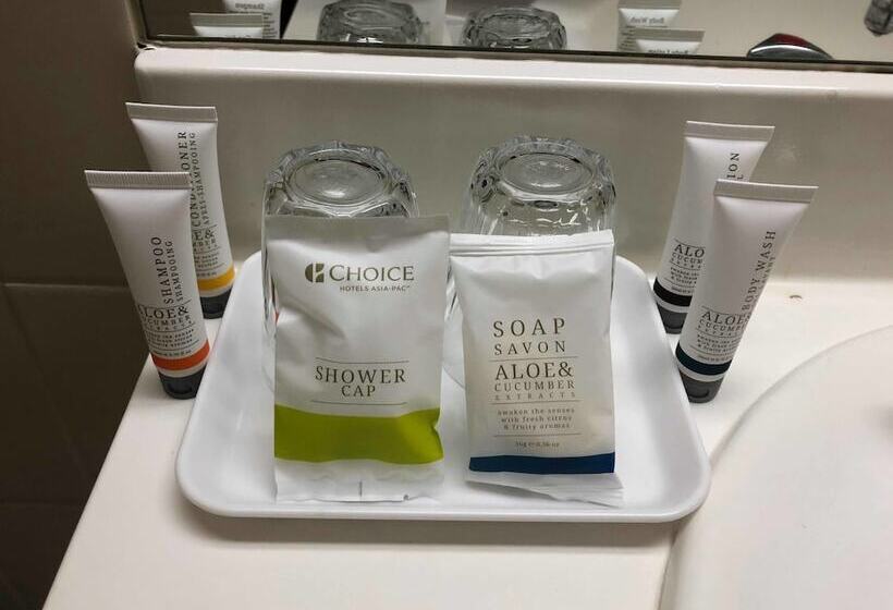 스탠다드 룸, Quality Hotel Ambassador Perth