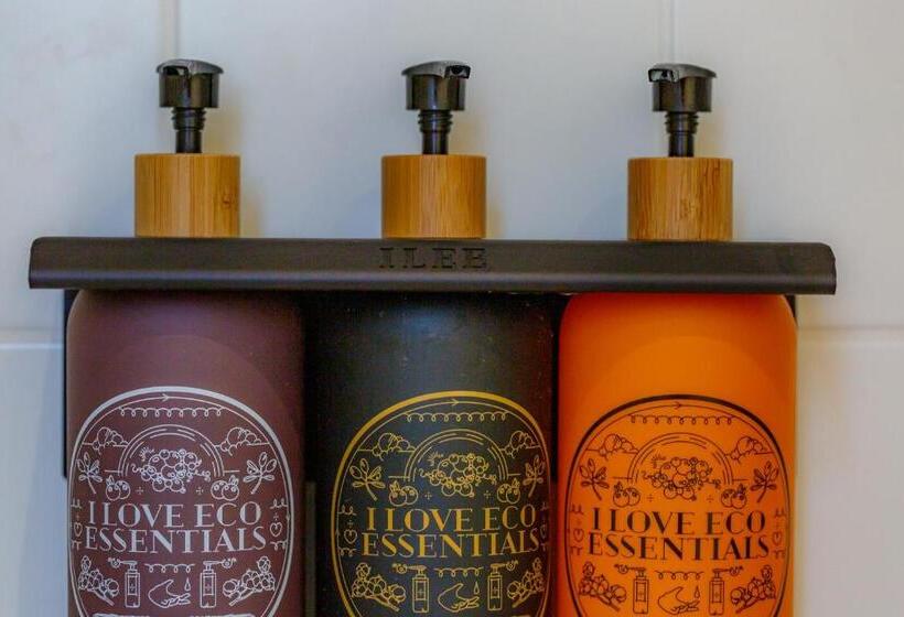 Номер Basic, Montanus