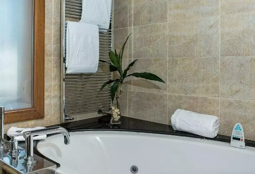اتاق استاندارد با دسترسی به اسپا, Roc Blanc Hotel & Spa