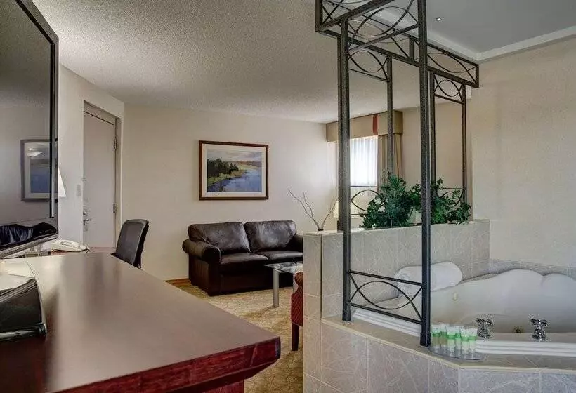 سوئیت با وان آب گرم, Best Western Plus City Centre Inn