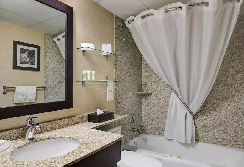 سوئیت با وان آب گرم, Best Western Plus City Centre Inn