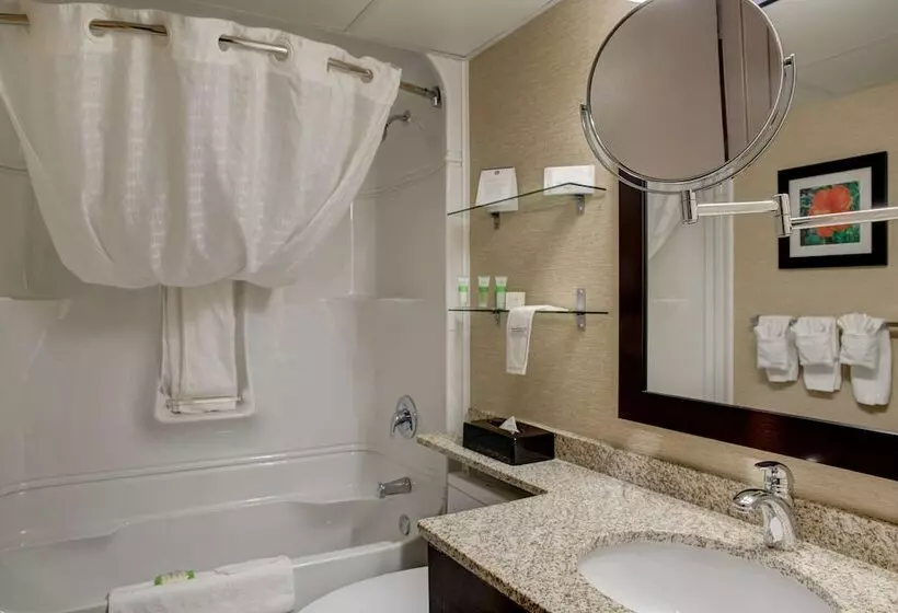 スイート（家族用）, Best Western Plus City Centre Inn