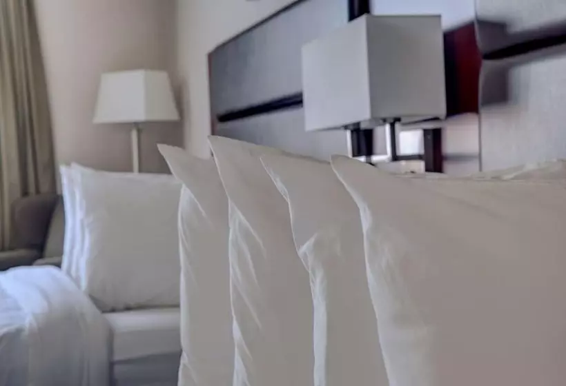 スイート（家族用）, Best Western Plus City Centre Inn