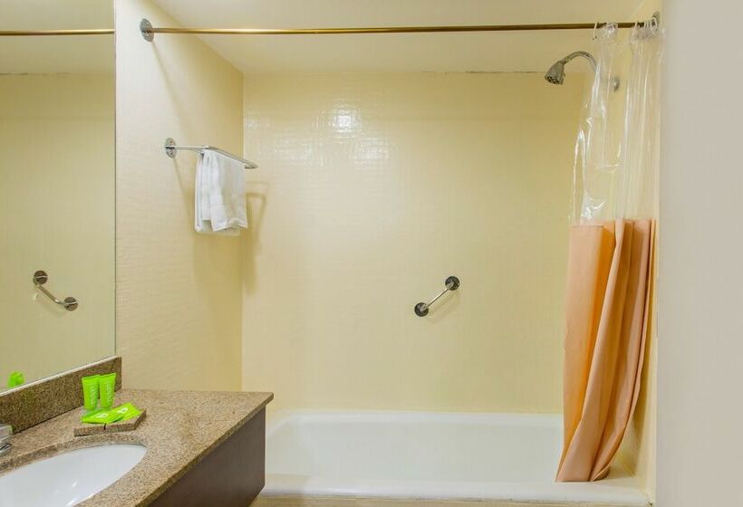 اتاق استاندارد, Gran Villagio Hotel Sp By Castelo Itaipava