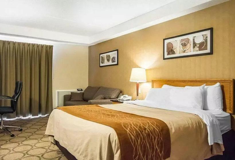 Standard-huone, Comfort Inn