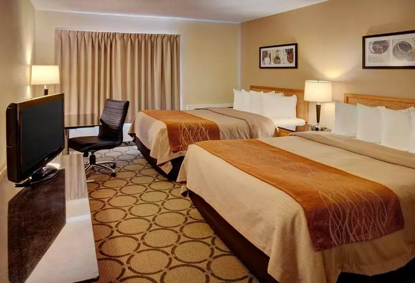 Standard-huone 2 Parivuodetta, Comfort Inn
