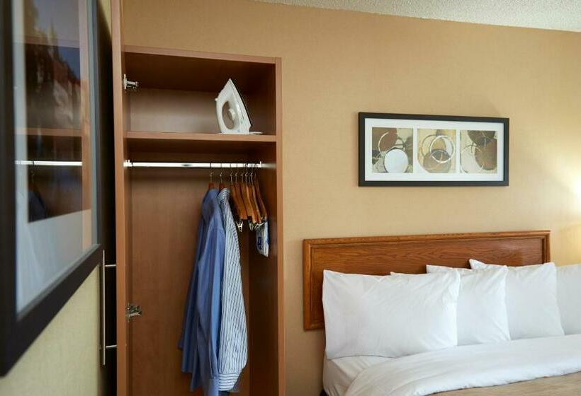 غرفه قياسيه سريرين مزدوجين, Comfort Inn