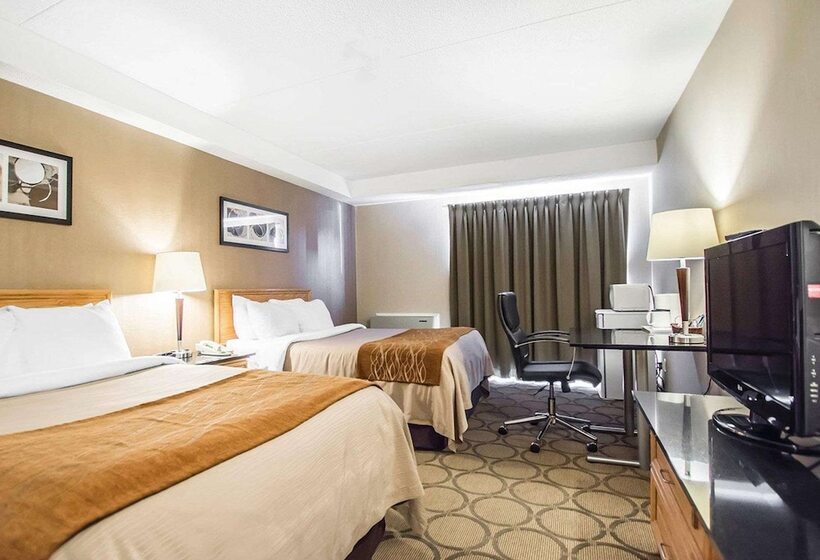 غرفه قياسيه سريرين مزدوجين, Comfort Inn