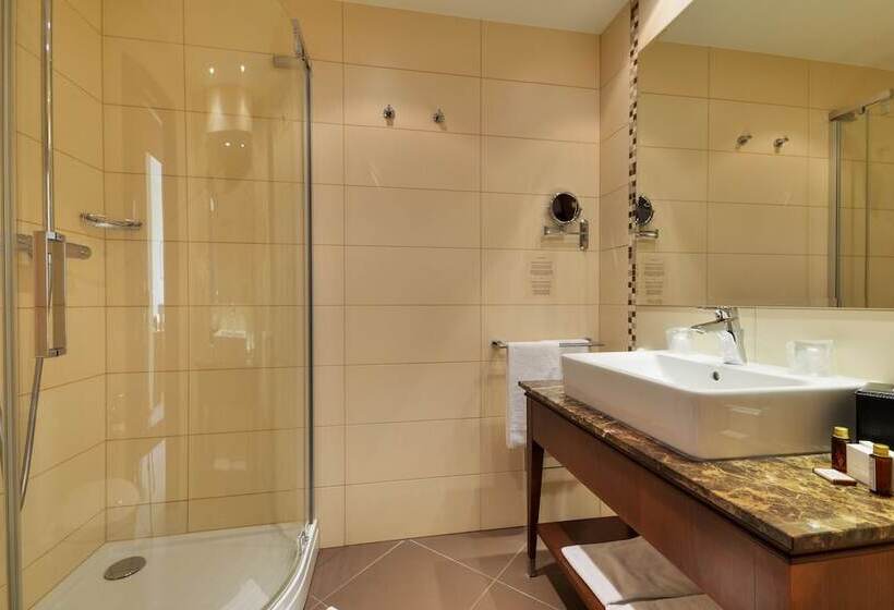 Superior Room with Terrace, Devin