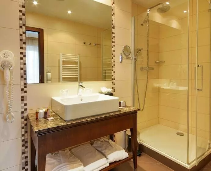 Superior Room with Terrace, Devin