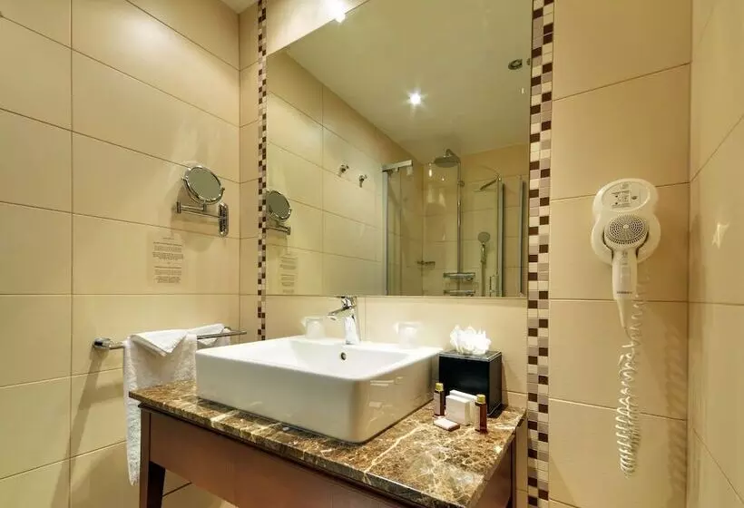Superior Room with Terrace, Devin
