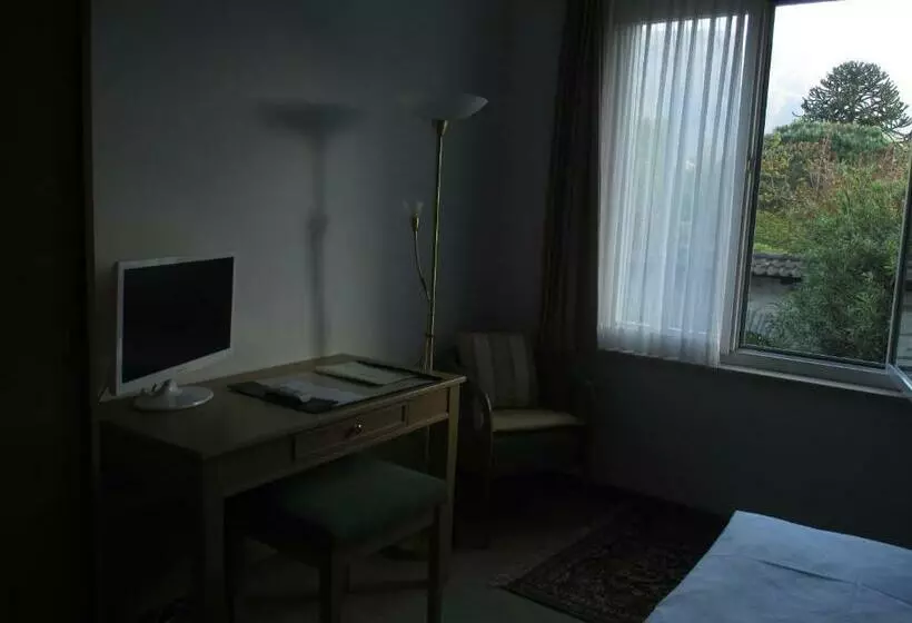 Habitació Estàndard, Arcadia