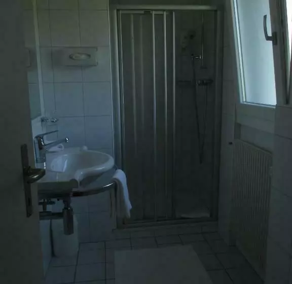 Habitación Estàndard Individual, Arcadia