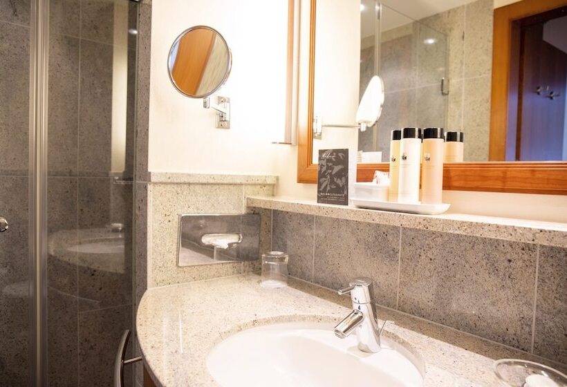 חדר סטנדרט יחיד, Arosa Kulm Hotel & Alpin Spa