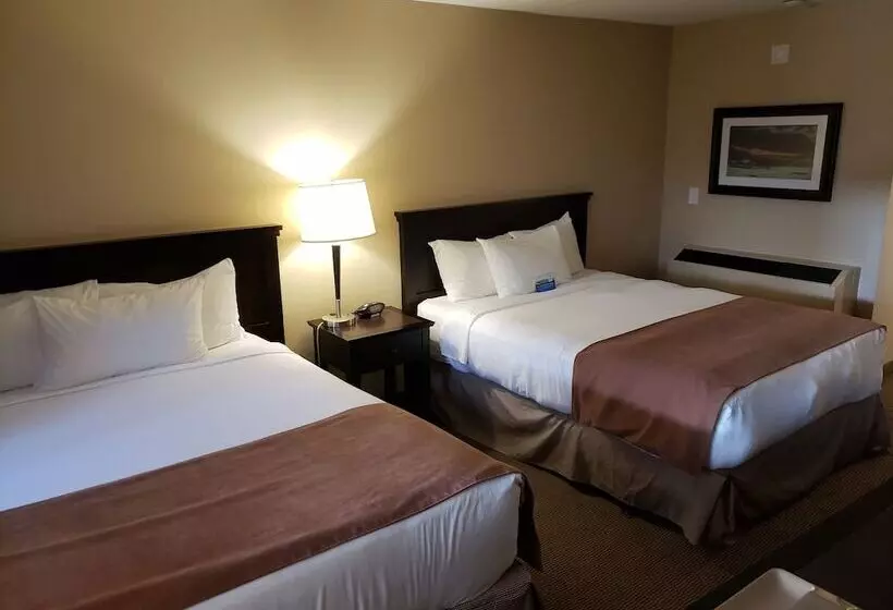 اتاق استاندارد با 2 تخت دوبل, Baymont By Wyndham Red Deer
