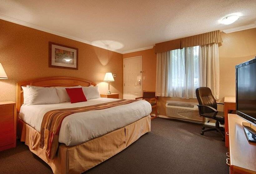 带2个双人床的标准工作室, Best Western Inn At Penticton