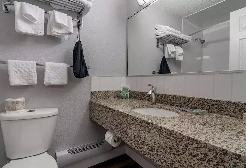 اتاق استاندارد با 2 تخت دوبل, Best Western Inn At Penticton