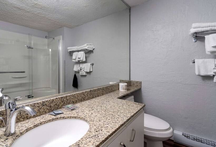 带2个双人床的标准工作室, Best Western Inn At Penticton