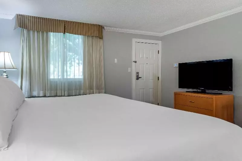 اتاق استاندارد با تخت بزرگ, Best Western Inn At Penticton
