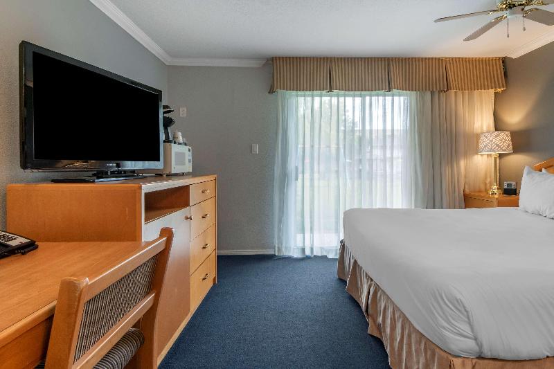 キングサイズベッドのスタンダードルーム, Best Western Inn At Penticton