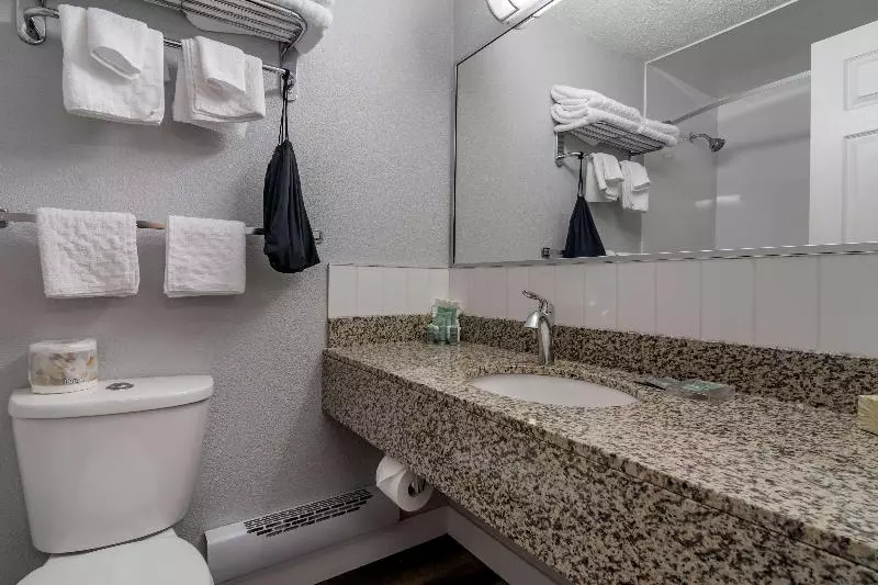 سوئیت اجرایی با تخت کینگ, Best Western Inn At Penticton