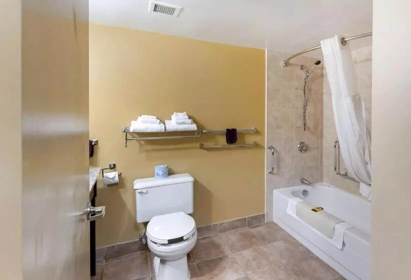 身障者適用スタンダードルーム, Best Western Plus Mariposa Inn & Conference Centre