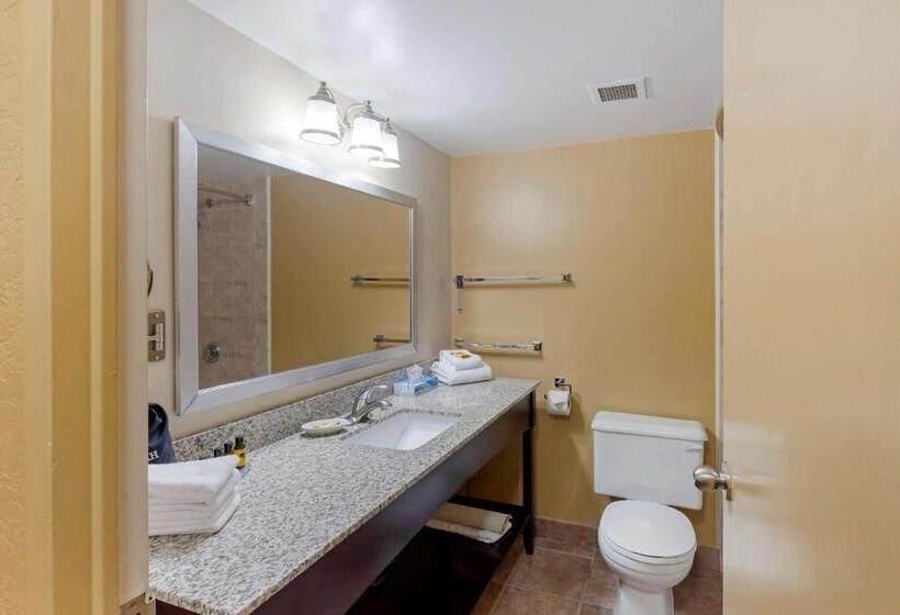 Номер Стандарт, Best Western Plus Mariposa Inn & Conference Centre